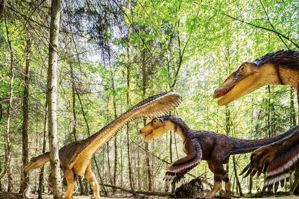 Im Dinosaurier-Freilichtmuseum treffen die faszinierten Besucher auf über 60 große und kleine Dinosauriermodelle. Foto: djd/Naturpark Altmühltal/Sascha Kletzsch