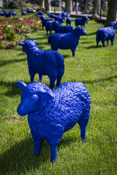 Die "blaue Friedensherde" grast aktuell in Deutschlands größtem Freizeitpark. Bild: Europa-Park